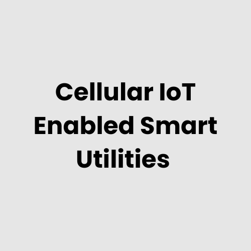 Cellular IoT Enabled Smart Utilities