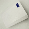 Asset Track Pro Lora WAN Outdoor Access Point Long Range