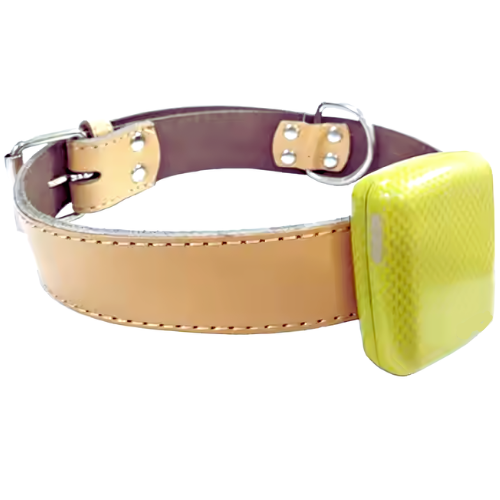 Mini GPS Tracker for Pets with Waterproof and Geofence Feature - Asset Track Pro