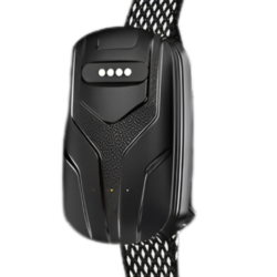 Smart Pet Tracker with Real Time Location - Asset Track Pro