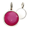 Programmable NFC Pet Tag with QR Code & Epoxy Surface - Asset Track Pro