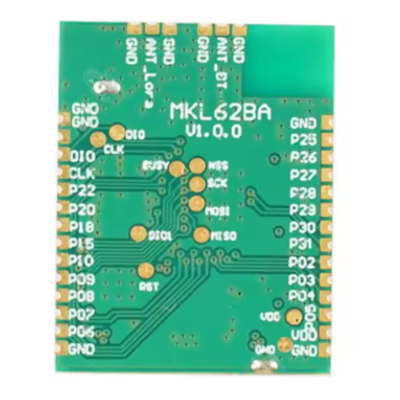 LoRaWAN Module Nordic (LoRa) Built-in TCXO 34 pins - Asset Track Pro