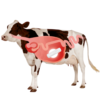 LoRaWAN Smart Rumen Bolus For Cattle Temperature And Activity - Asset Track Pro