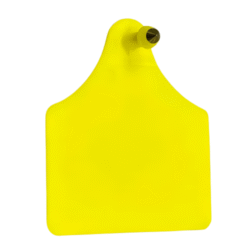 Tamper Proof TPU Material Gps Cattle Ear Tags RFID Cow Ear Tags - Asset Track Pro