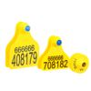 Long-Range RFID Animal Tag for Livestock and Pets Identification - Asset Track Pro