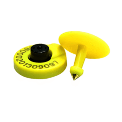 Dual-Frequency UHF, LF RFID Ear Tags for Livestock Tracking - Asset Track Pro