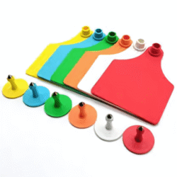 RFID Animal Management Tool with Cattle Ear Tags, Laser-ID, Multi-Frequency - Asset Track Pro