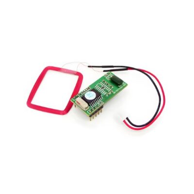 RFID Reader Module EM Compatible TTL Output for Identification System - Asset Track Pro