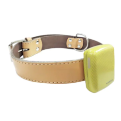 Mini Waterproof GPS Tracker for Pets with Geofence -  Asset Track Pro