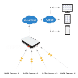 Asset Track Pro Lora WAN Multipoint Wireless Sensor