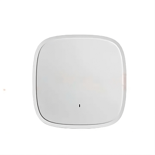 High-Speed Wi-Fi AP 802.11ac, 1000 Mbps, Dual-Band, WPS/WDS - Asset Track Pro