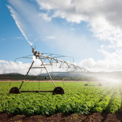 LoRaWAN for Automated Irrigation - Cloud, Server, PC and Mobile Systems