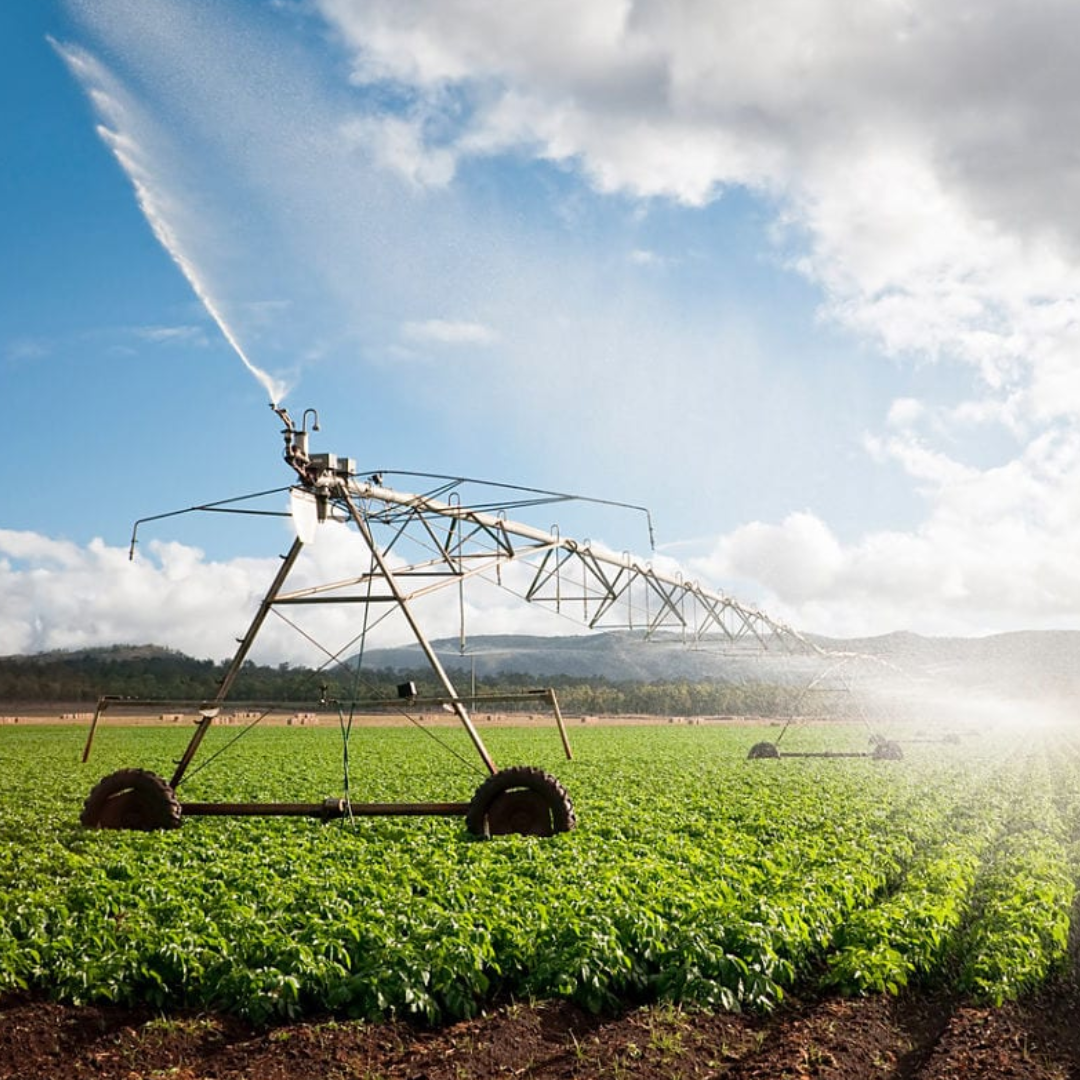 LoRaWAN for Automated Irrigation - Cloud, Server, PC and Mobile Systems