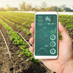 LoRaWAN for Crop Monitoring - Cloud, Server, PC and Mobile Systems