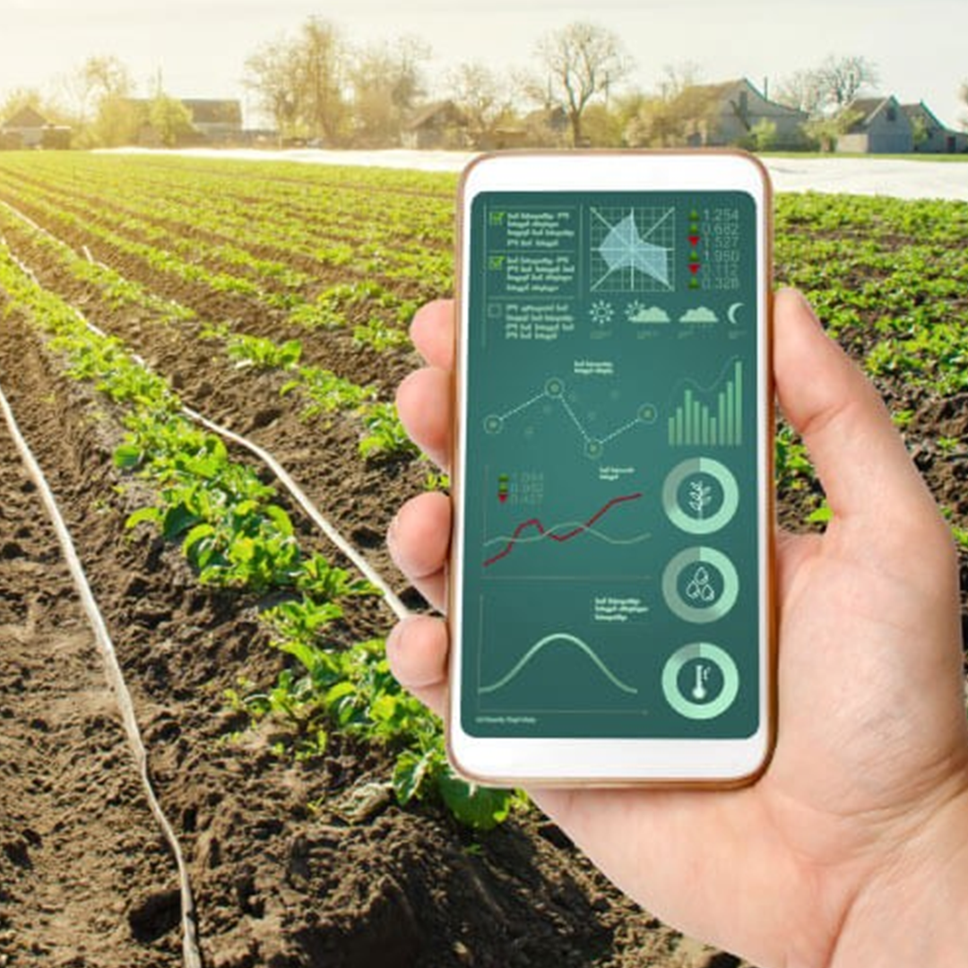 LoRaWAN for Crop Monitoring - Cloud, Server, PC and Mobile Systems