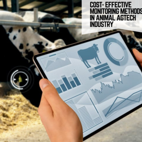 LoRaWAN for Livestock Monitoring and Mobile Systems
