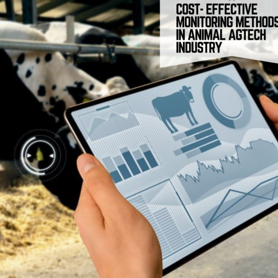 LoRaWAN for Livestock Monitoring and Mobile Systems