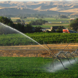 LoRaWAN for Water Management - Cloud, Server, PC and Mobile Systems