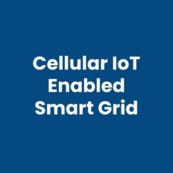 Cellular IoT Enabled Smart Grid
