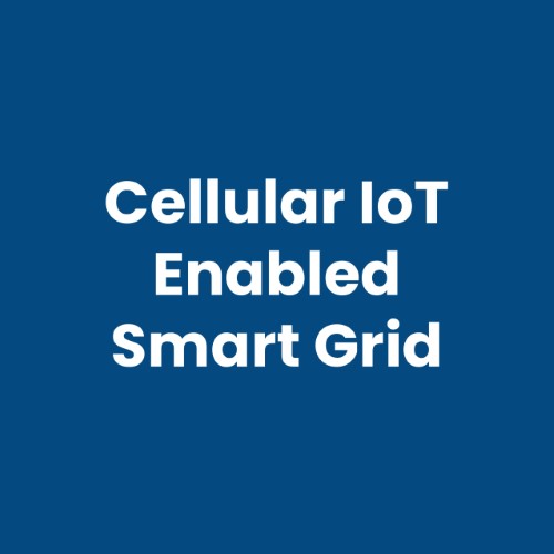 Cellular IoT Enabled Smart Grid