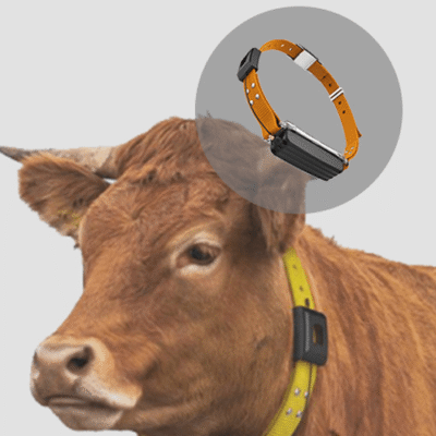 ATPIoTS-1162.png LoRaWAN GPS Tracker with 12KM Range, 38000mAh Battery - Asset Track Pro